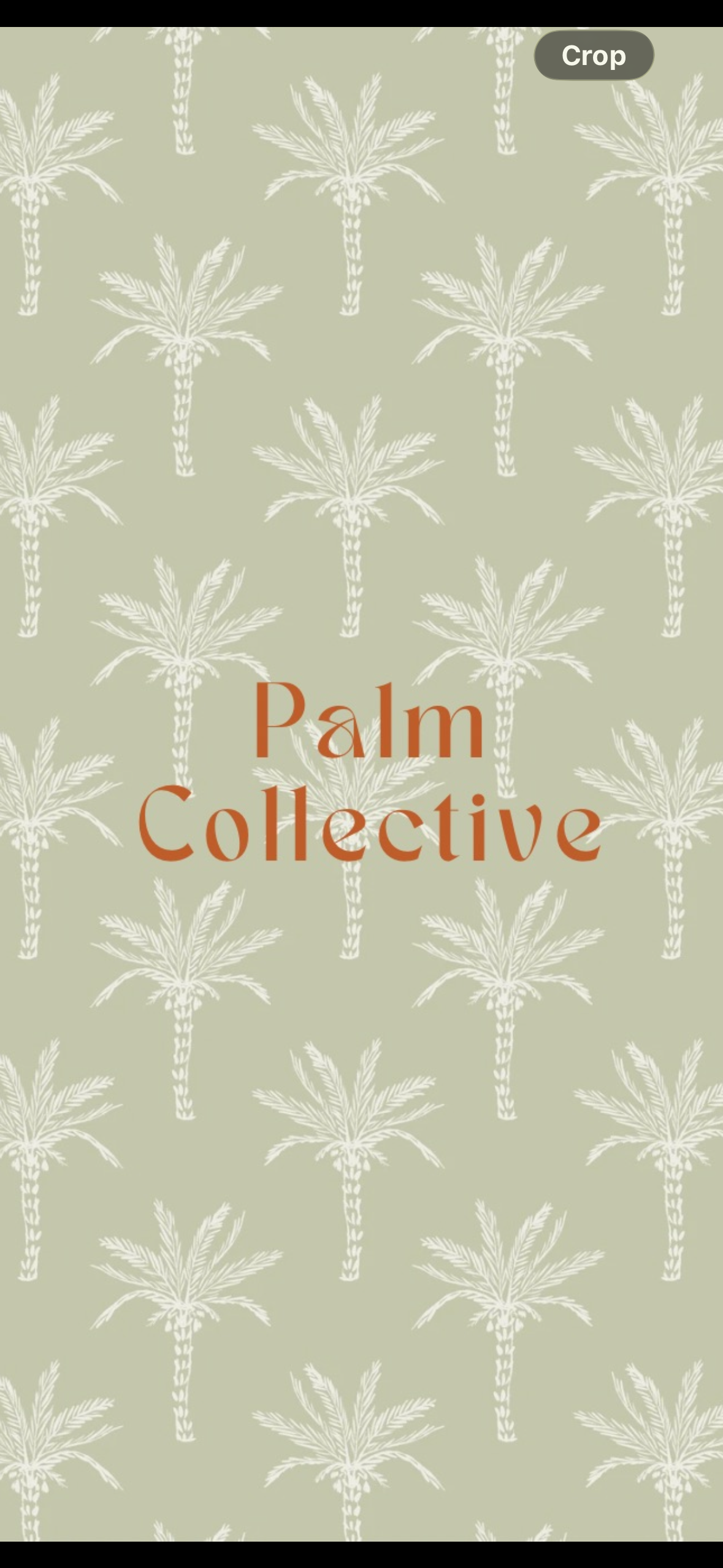 Palm Collective 